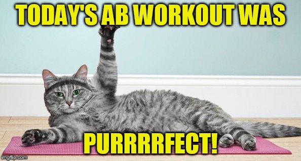purfect-abs