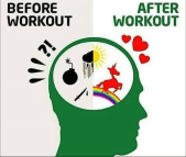 screen-shot-2016-10-03-at-5-49-55-am