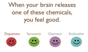 screen-shot-2016-10-03-at-5-51-10-am