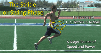 screen-shot-2016-11-14-at-5-16-43-am