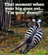 screen-shot-2016-12-12-at-5-43-15-am