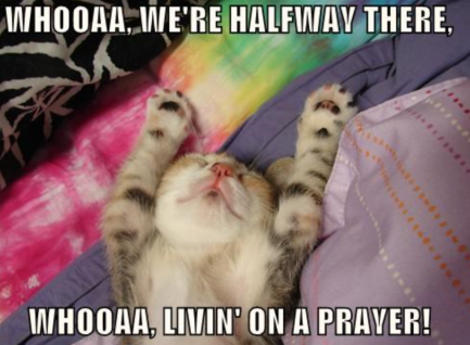 screen-shot-2016-12-15-at-5-21-40-am