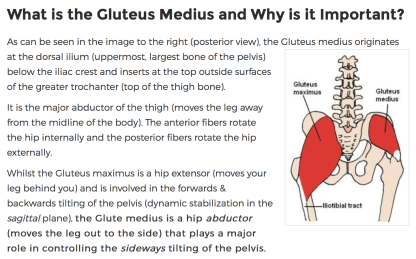 screen-shot-2017-01-03-at-5-26-48-am