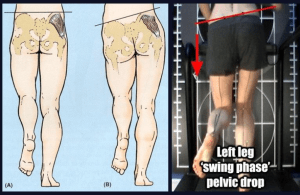 screen-shot-2017-01-03-at-5-30-55-am