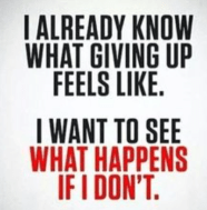 screen-shot-2017-01-04-at-5-57-46-am