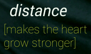 screen-shot-2017-01-20-at-8-25-55-pm