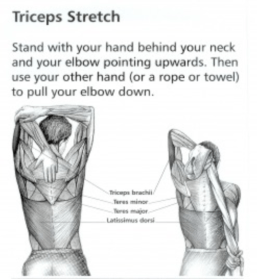 Screen Shot 2017-06-01 at 9.39.38 AM