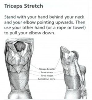 Screen Shot 2017-06-01 at 9.39.38 AM