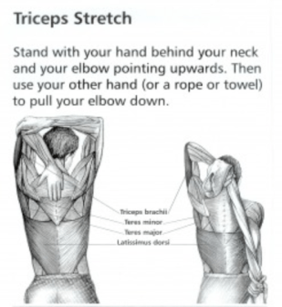 Screen Shot 2017-06-01 at 9.39.38 AM