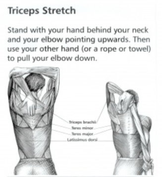 Screen Shot 2017-06-01 at 9.39.38 AM