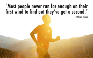 Screen Shot 2017-06-02 at 4.21.15 PM