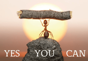 Screen Shot 2017-07-12 at 10.31.28 PM