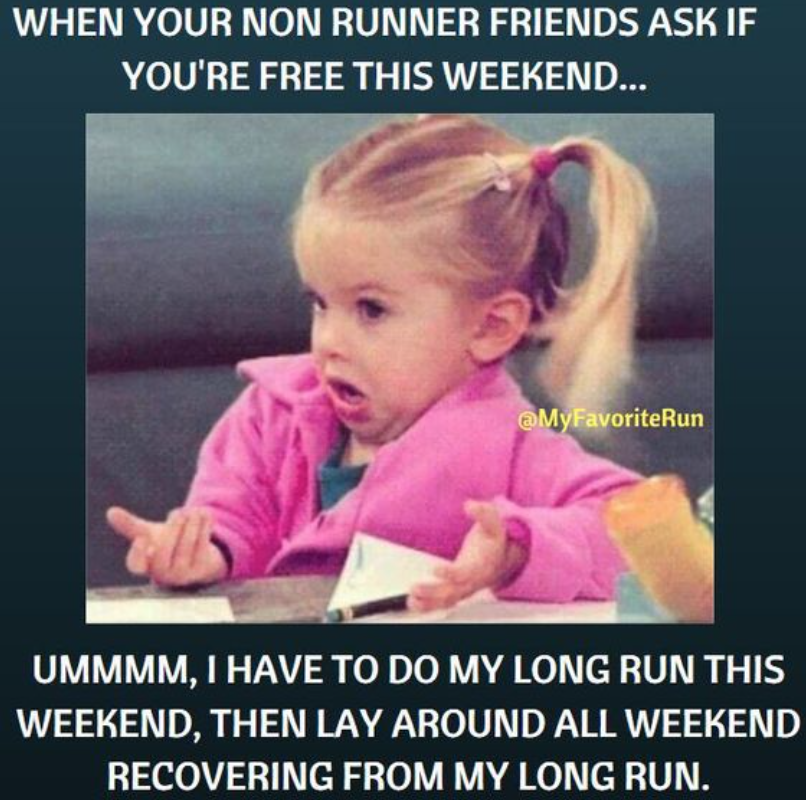 Screen Shot 2017-09-01 at 8.10.21 PM.png