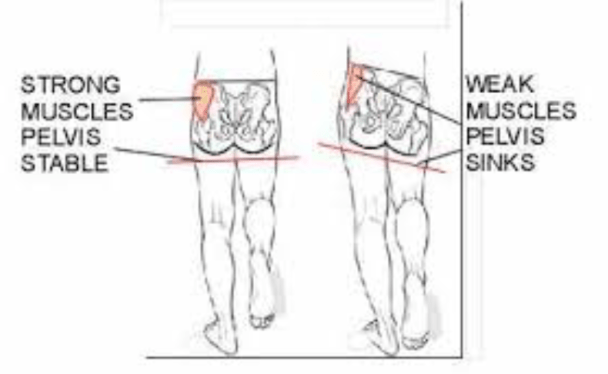 Screen Shot 2017-09-04 at 5.57.57 PM.png