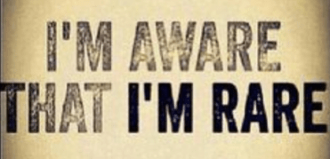 Screen Shot 2017-11-06 at 5.41.24 PM