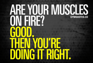 Screen Shot 2017-11-19 at 6.40.25 PM