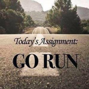 Todays assignment go run