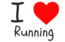 Screen Shot 2017-12-01 at 8.42.33 PM