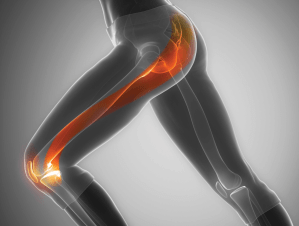 Screen Shot 2017-12-12 at 1.58.00 PM