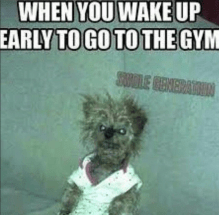 Screen Shot 2018-01-08 at 3.47.58 AM