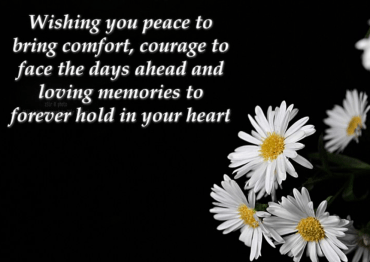 Screen Shot 2018-02-16 at 9.32.25 PM