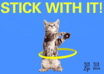 Screen Shot 2018-02-19 at 3.41.26 PM