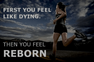 Screen Shot 2018-08-24 at 7.28.24 PM